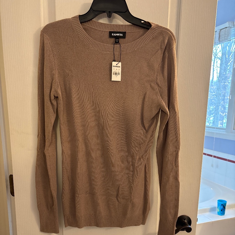 Brand new Express Sweater